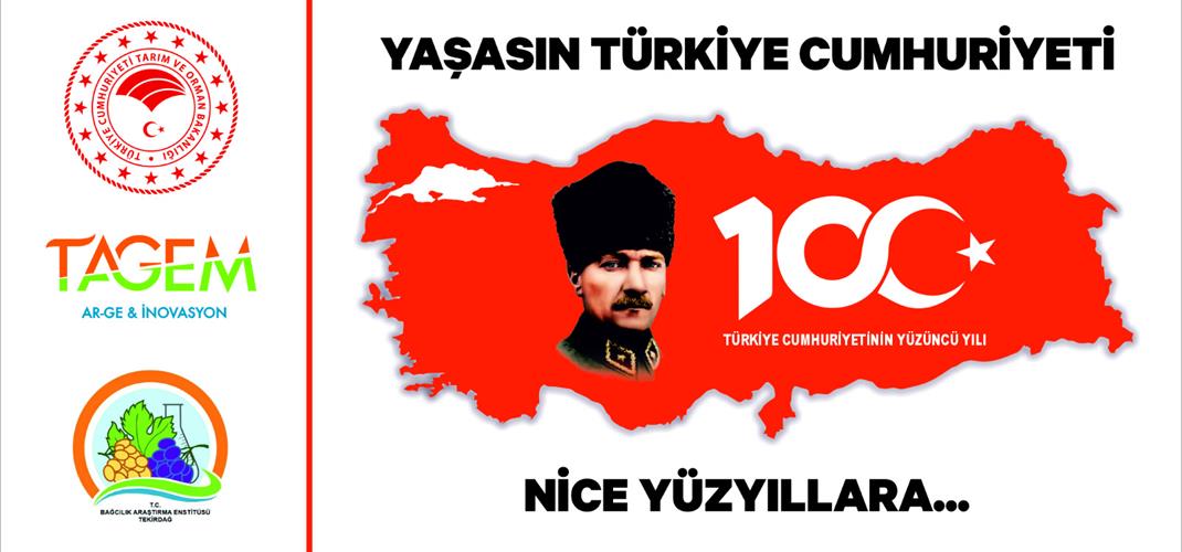 100TH ANNIVERSARY OF THE FOUNDATION OF THE REPUBLIC OF TÜRKİYE