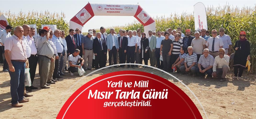  DOMESTIC AND NATIONAL MAİZE FIELD DAY WAS CARRIED OUT BY OUR INSTITUTE.